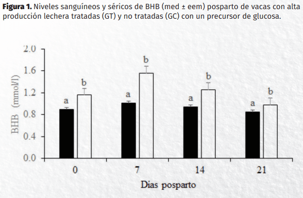 Uso de un precursor glucogénico y su efecto sobre la incidencia de enfermedades metabólicas en vacas Holstein - Image 1