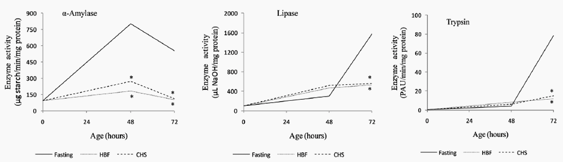 La alimentación temprana como modificador de la actividad de enzimas digestivas en pollos de engorde - Image 6