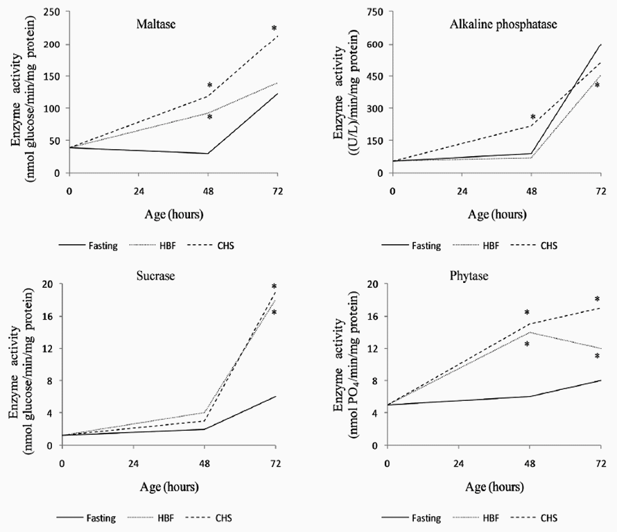 La alimentación temprana como modificador de la actividad de enzimas digestivas en pollos de engorde - Image 4