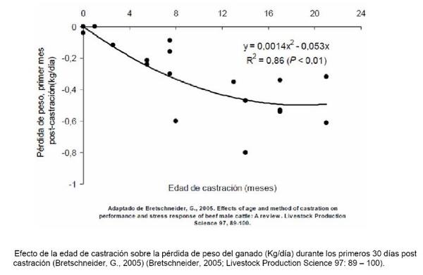 Efecto de la edad y el método de castración sobre la ganancia de peso en los terneros - Image 1