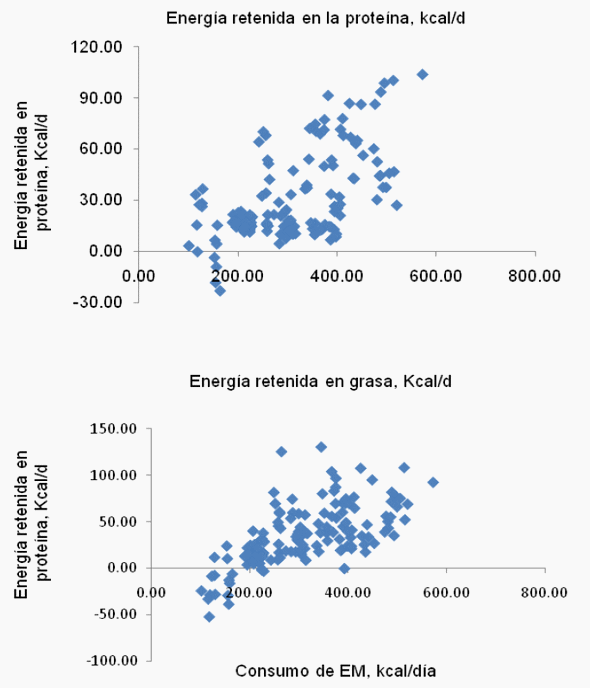 Evaluación de un modelo para estimar el requerimiento y uso de energía en pollos de engorda en crecimiento y finalización - Image 3