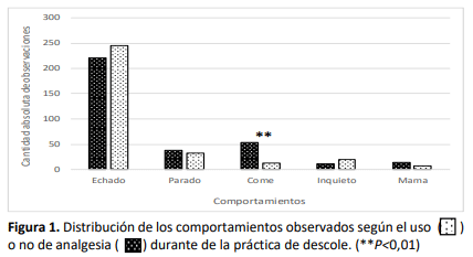 Figura 1. Distribución de los comportamientos observados según el uso ( ) o no de analgesia ( ) durante de la práctica de descole. (**P< 0,01)