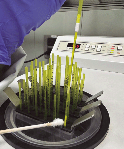 Enviar al laboratorio el formato de aspiración folicular (o la “planilla de aspiración”) diligenciado y, a la vez, protegido, de tal forma que no se deteriore en el transporte (a causa del agua, por ejemplo).