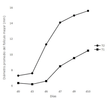 Figura 1. Dinámica folicular utilizando el diámetro promedio del folículo mayor y crecimiento final del folículo ovulatorio de un tratamiento tradicional de dispositivo intravaginal y estradiol (T1) y un tratamiento tipo Co-Synch con progesterona inyectable (T2).