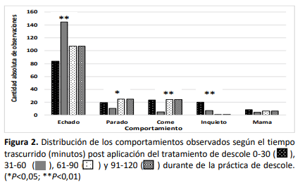 Figura 2. Distribución de los comportamientos observados según el tiempo trascurrido (minutos) post aplicación del tratamiento de descole 0-30 ( ), 31-60 ( ), 61-90 ( ) y 91-120 ( ) durante de la práctica de descole. (*P< 0,05; **P< 0,01)