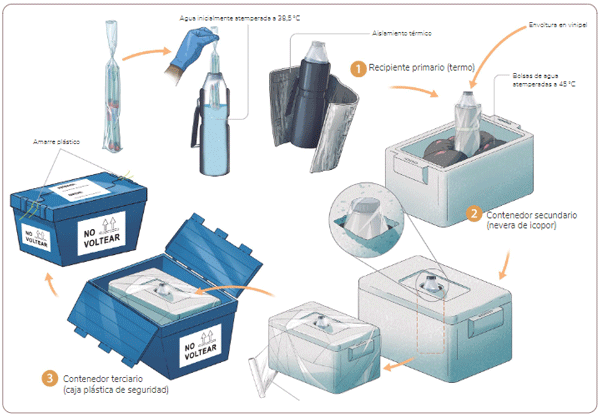 Figura 18. Representación de embalaje alternativo para el transporte de oocitos. Fuente: Elaboración propia