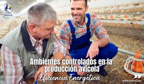 Ambientes Controlados en la producción Avícola - Image 1