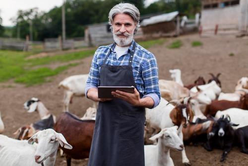 Europa y el bienestar animal: Liderazgo, retos y oportunidades - Image 1