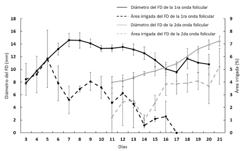 Figura 1. Diámetro y porcentaje de área irrigada de los folículos dominantes (FD) de la 1ra y 2da onda de crecimiento folicular