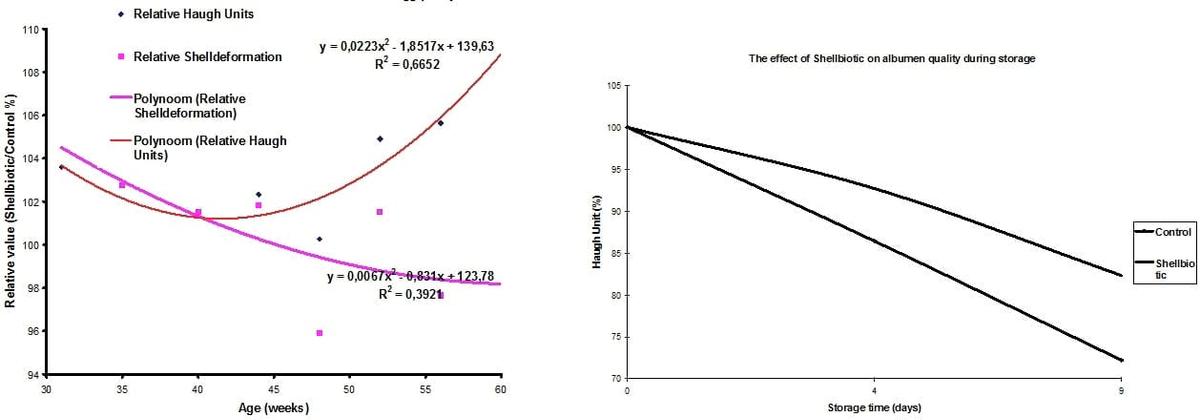Efecto de shellbiotic en la calidad de los huevos - Image 1