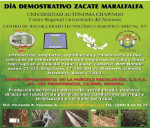 DÍAS DEMOSTRATIVOS PARA LA SIEMBRA DE ZACATE MARALFALFA EN SONORA 2015 - Image 23