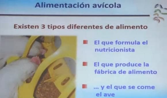 La fabricación de alimentos desde el punto de vista del nutricionista - Image 1