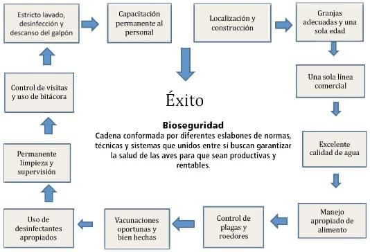 Sanidad con orientación al Valor Agregado para lograr Alimentos Sanos Inocuos - Image 1