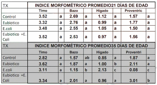 Evaluación del efecto de un modulador digestivo en pollos de engorda desafiados con una cepa de escherichia coli sobre variables productivas y química sanguínea - Image 4