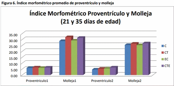 Evaluación del efecto de un modulador digestivo en pollos de engorda desafiados con una cepa de escherichia coli sobre variables productivas y química sanguínea - Image 5