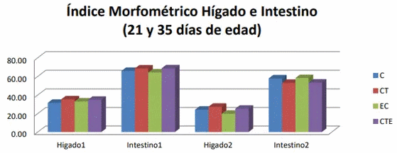 Evaluación del efecto de un modulador digestivo en pollos de engorda desafiados con una cepa de escherichia coli sobre variables productivas y química sanguínea - Image 5