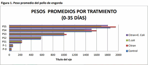 Evaluación del efecto de un modulador digestivo en pollos de engorda desafiados con una cepa de escherichia coli sobre variables productivas y química sanguínea - Image 1