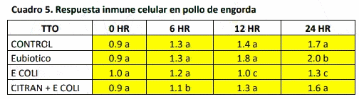 Evaluación del efecto de un modulador digestivo en pollos de engorda desafiados con una cepa de escherichia coli sobre variables productivas y química sanguínea - Image 6