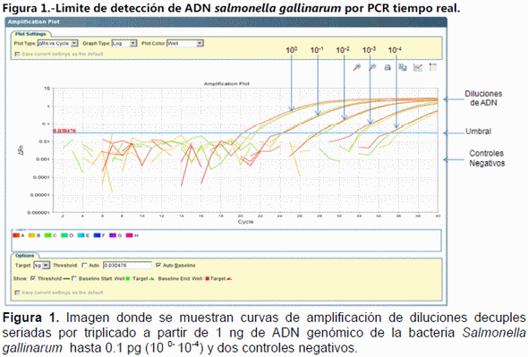 Desarrollo y evaluacion de diagnostico de salmonella gallinarum por pcr tiempo real - Image 2