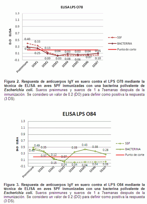 Desarrollo de una bacterina para la prevención de la colibacilosis aviar a partir de cepas mexicanas de escherichia coli invasivas extraintestinales (exiec)” - Image 2