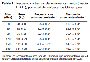 Hábitos de amamantamiento del ganado bovino Chinampo (Bos taurus) de México - Image 2