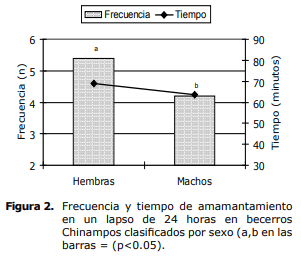 Hábitos de amamantamiento del ganado bovino Chinampo (Bos taurus) de México - Image 3