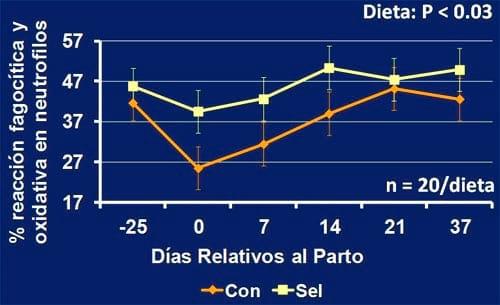 Estrategias para mejorar las respuestas termoreguladoras y reproductivas/ productivas bajo periodos estacionales de estrés por calor - Image 50