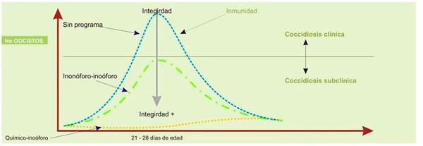 ANTICOCCIDIALES : “Programa de Limpieza” - Image 4