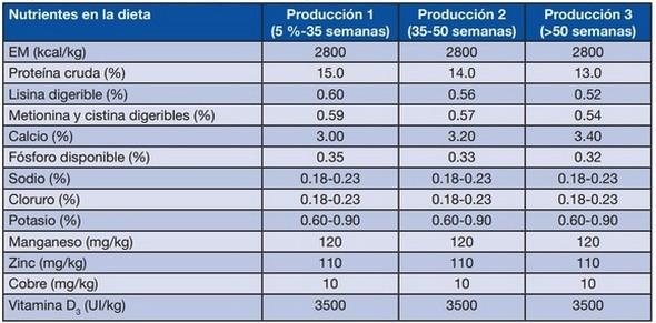 La importancia de la nutrición para la calidad de la cáscara de huevo en reproductoras de pollos de engorde - Image 1