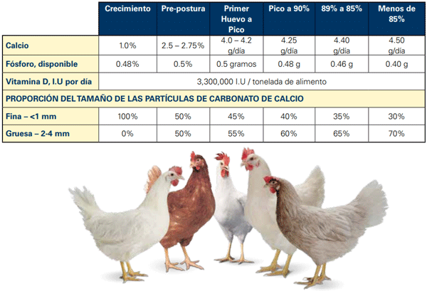 Nutrición para una Buena Calidad de la Cáscara