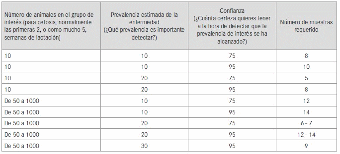 Programas de diagnóstico y monitorización para vacas en transición - Image 2