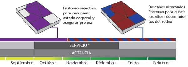 Pastoreo Controlado, Una herramienta para el manejo sustentable de los pastizales naturales en sistemas ganaderos extensivos - Image 3