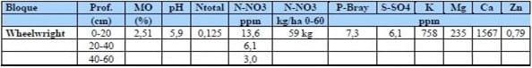 Evaluación de fuentes nitrogenadas en Maíz en el Medio-Oeste de Buenos Aires - Image 2