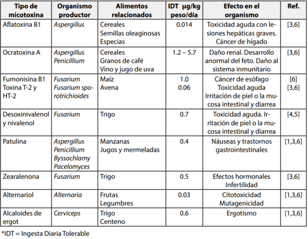 Micotoxinas en alimentos, un peligro invisible - Image 6