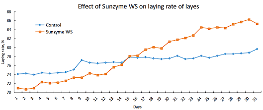 Sunzyme WS - Image 4