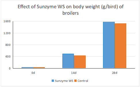 Sunzyme WS - Image 1