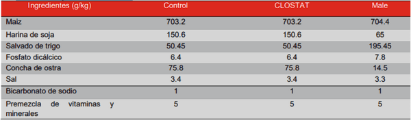 De padres a la producción: CLOSTAT® en pollos de engorde - Image 1