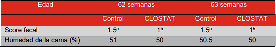 De padres a la producción: CLOSTAT® en pollos de engorde - Image 7