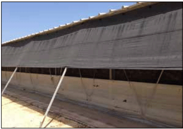 Figura 9. Las cortinas porosas bloquean la luz directa del sol dentro del galpón, pero permiten que pase el aire.