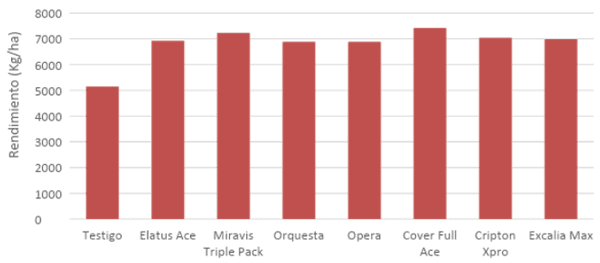 Figura 2: Rendimiento de trigo según tratamiento de protección.