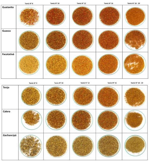 Efecto de la inclusión de extractos oleosos de polen apícola en la dieta de gallinas ponedoras sobre el aporte de carotenoides, estabilidad y factores de calidad del huevo - Image 1