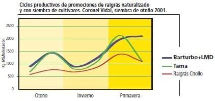 Raigrás Anual:Promociones con siembra de Raigrás - Image 3