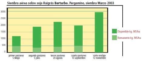 Raigrás Anual: Siembra aérea de Raigrás - Image 1