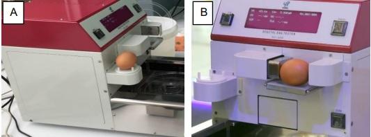 Efecto de microminerales orgánicos en la producción y calidad de huevo de gallina de postura comercial de 80 - 90 semanas - Image 1