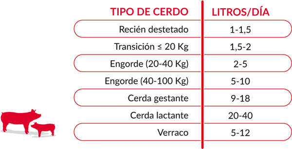 Tipo de cerdo / Litros - Día