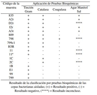 Tabla 1 Resultados obtenidos de aplicación de pruebas Bioquímicas 