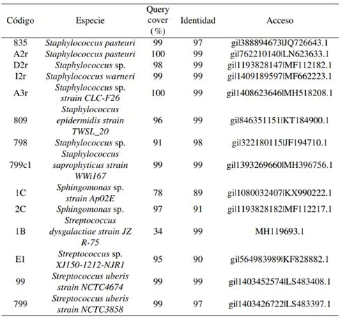 Tabla 2 Clasificación taxonómica de los agentes etiológicos causantes de mastitis bovina aislados en los cantones de Cayambe y Pedro Moncayo, provincia de Pichincha.