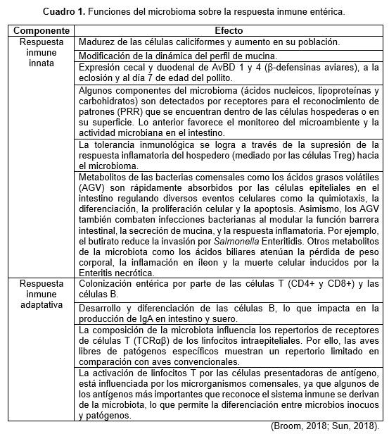 El papel del microbioma en el desarrollo del sistema inmune de las aves. - Image 1