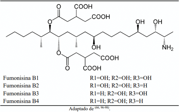 Cuadro 3: Estructura química básica de las fumonisinas B1, B2, B3 y B4