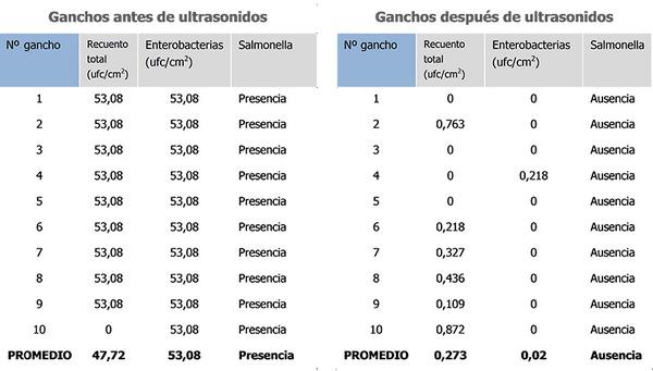 Salmonella en la industria avícola. Puntos críticos de contaminación - Image 4